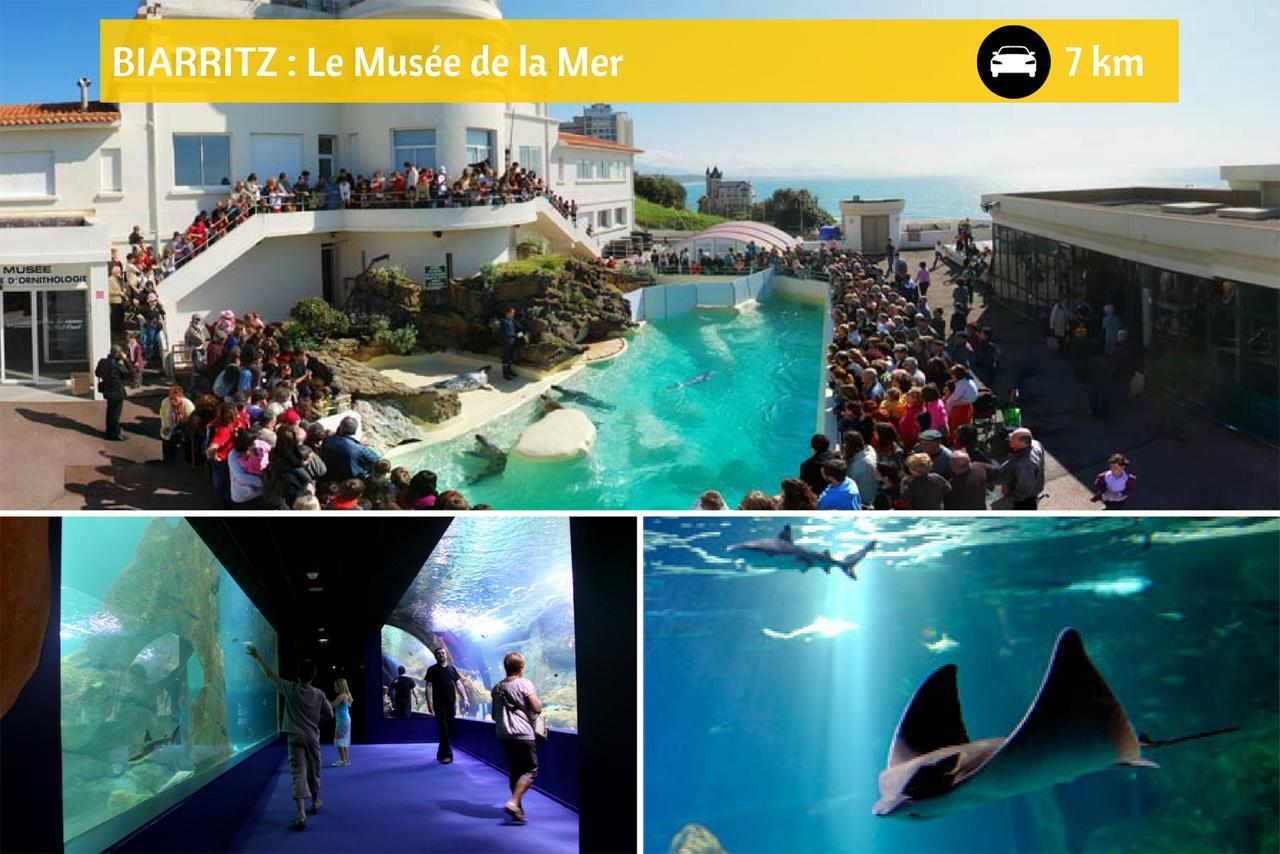 Lodge Mendia Anglet Dış mekan fotoğraf